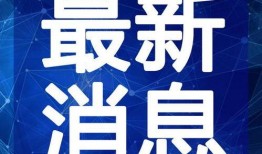 宋飞老师爆料视频大全最新,揭秘娱乐圈不为人知的秘密